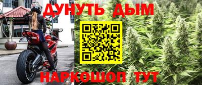 эйфоретик Будённовск