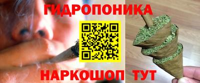 эйфоретик Будённовск
