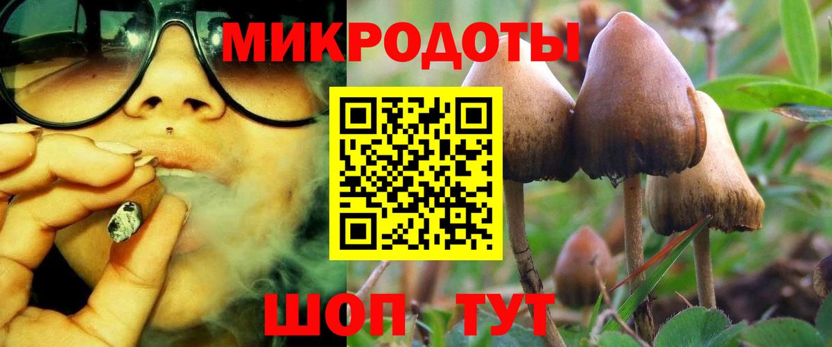 Саранск  Галлюциногенные грибы MAGIC MUSHROOMS  Вход с VPN 